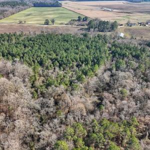 Photo #28 of SOLD property in Off Durwood Evans Rd, Beulaville, NC 31.6 acres