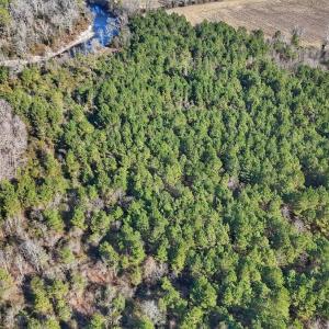 Photo #29 of SOLD property in Off Durwood Evans Rd, Beulaville, NC 31.6 acres