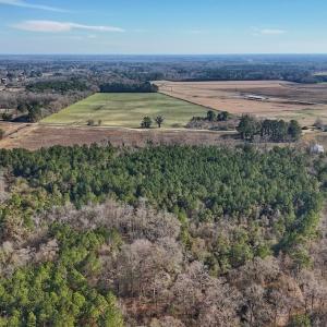 Photo #30 of SOLD property in Off Durwood Evans Rd, Beulaville, NC 31.6 acres