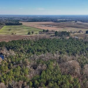 Photo #31 of SOLD property in Off Durwood Evans Rd, Beulaville, NC 31.6 acres