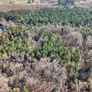 Photo #32 of SOLD property in Off Durwood Evans Rd, Beulaville, NC 31.6 acres