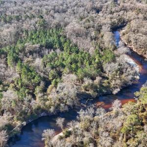 Photo #37 of SOLD property in Off Durwood Evans Rd, Beulaville, NC 31.6 acres