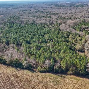 Photo #39 of SOLD property in Off Durwood Evans Rd, Beulaville, NC 31.6 acres