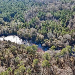 Photo #40 of SOLD property in Off Durwood Evans Rd, Beulaville, NC 31.6 acres