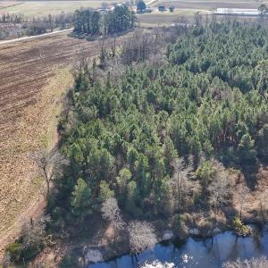 Photo #5 of SOLD property in Off Durwood Evans Rd, Beulaville, NC 31.6 acres