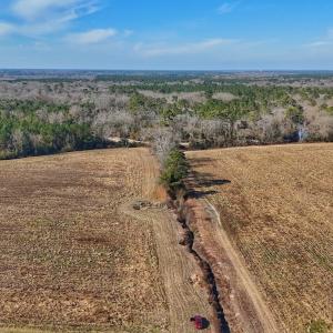 Photo #44 of SOLD property in Off Durwood Evans Rd, Beulaville, NC 31.6 acres