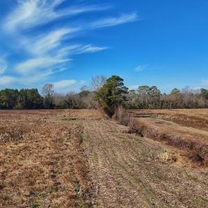Photo #45 of SOLD property in Off Durwood Evans Rd, Beulaville, NC 31.6 acres