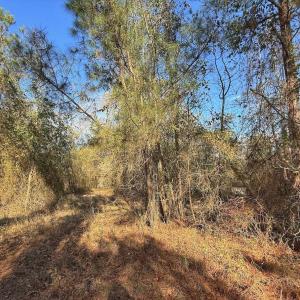 Photo #49 of SOLD property in Off Durwood Evans Rd, Beulaville, NC 31.6 acres