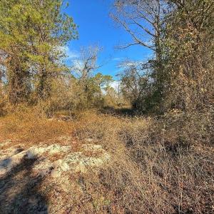 Photo #50 of SOLD property in Off Durwood Evans Rd, Beulaville, NC 31.6 acres