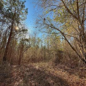 Photo #51 of SOLD property in Off Durwood Evans Rd, Beulaville, NC 31.6 acres