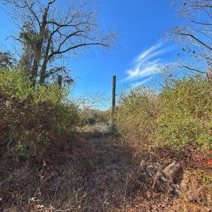 Photo #56 of SOLD property in Off Durwood Evans Rd, Beulaville, NC 31.6 acres