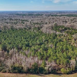 Photo #8 of SOLD property in Off Durwood Evans Rd, Beulaville, NC 31.6 acres