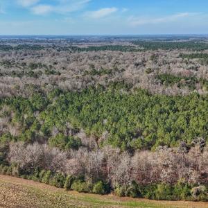Photo #10 of SOLD property in Off Durwood Evans Rd, Beulaville, NC 31.6 acres