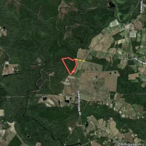 Photo #57 of SOLD property in Off Durwood Evans Rd, Beulaville, NC 31.6 acres