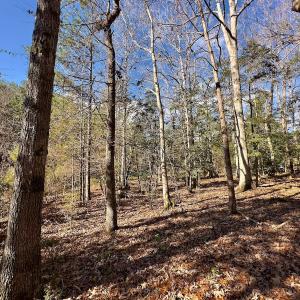 Photo #11 of 146 Bayview Court, New London, NC 0.9 acres