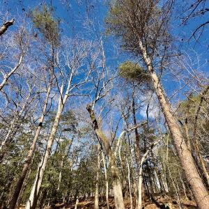 Photo #13 of 146 Bayview Court, New London, NC 0.9 acres