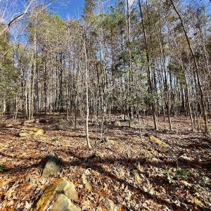 Photo #14 of 146 Bayview Court, New London, NC 0.9 acres