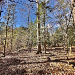 Photo #15 of 146 Bayview Court, New London, NC 0.9 acres