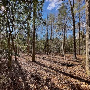Photo #16 of 146 Bayview Court, New London, NC 0.9 acres