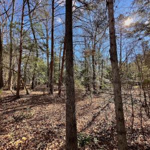 Photo #17 of 146 Bayview Court, New London, NC 0.9 acres