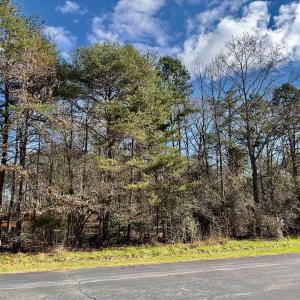 Photo #3 of 146 Bayview Court, New London, NC 0.9 acres
