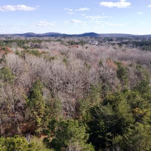 Photo #4 of 146 Bayview Court, New London, NC 0.9 acres