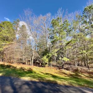 Photo #5 of 146 Bayview Court, New London, NC 0.9 acres