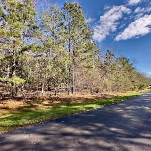 Photo #6 of 146 Bayview Court, New London, NC 0.9 acres