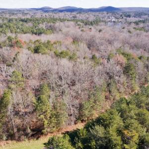 Photo #7 of 146 Bayview Court, New London, NC 0.9 acres