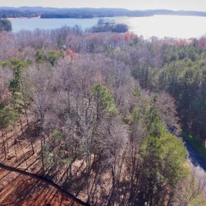 Photo #8 of 146 Bayview Court, New London, NC 0.9 acres
