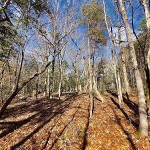 Photo #9 of 146 Bayview Court, New London, NC 0.9 acres