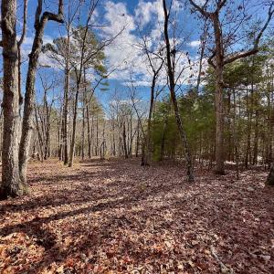 Photo #11 of 511 Whisper Lake Drive, New London, NC 2.9 acres