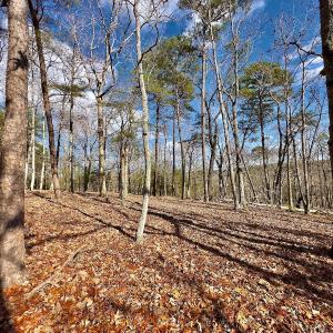 Photo #12 of 511 Whisper Lake Drive, New London, NC 2.9 acres