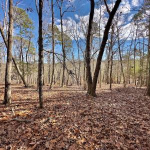 Photo #13 of 511 Whisper Lake Drive, New London, NC 2.9 acres