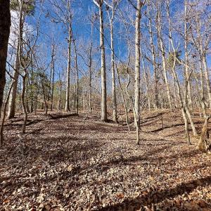 Photo #14 of 511 Whisper Lake Drive, New London, NC 2.9 acres