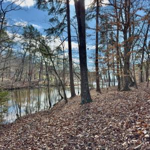 Photo #16 of 511 Whisper Lake Drive, New London, NC 2.9 acres