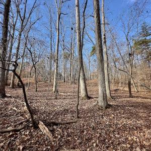 Photo #17 of 511 Whisper Lake Drive, New London, NC 2.9 acres