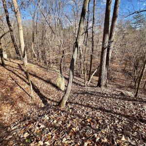 Photo #18 of 511 Whisper Lake Drive, New London, NC 2.9 acres