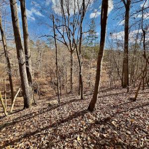 Photo #19 of 511 Whisper Lake Drive, New London, NC 2.9 acres