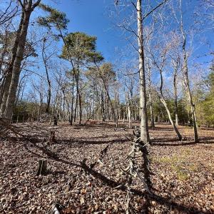 Photo #20 of 511 Whisper Lake Drive, New London, NC 2.9 acres