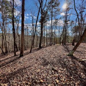 Photo #21 of 511 Whisper Lake Drive, New London, NC 2.9 acres
