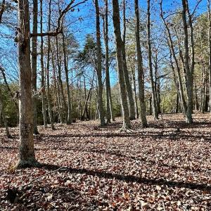 Photo #22 of 511 Whisper Lake Drive, New London, NC 2.9 acres