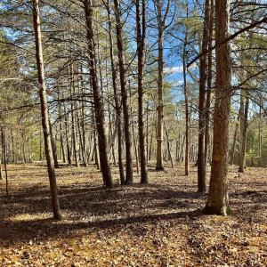 Photo #23 of 511 Whisper Lake Drive, New London, NC 2.9 acres