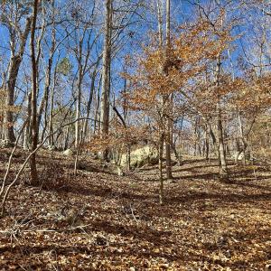 Photo #25 of 511 Whisper Lake Drive, New London, NC 2.9 acres
