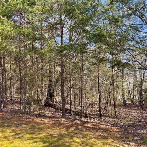Photo #9 of 511 Whisper Lake Drive, New London, NC 2.9 acres