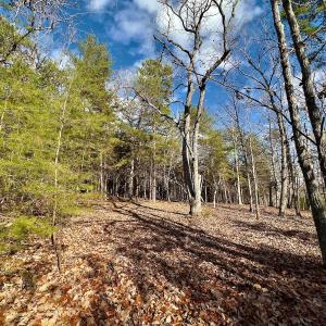 Photo #10 of 511 Whisper Lake Drive, New London, NC 2.9 acres