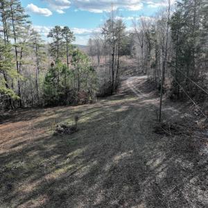 Photo #13 of  Off Green Level Rd, Scottsburg, VA 185.4 acres