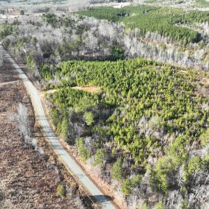 Photo #15 of  Off Green Level Rd, Scottsburg, VA 185.4 acres