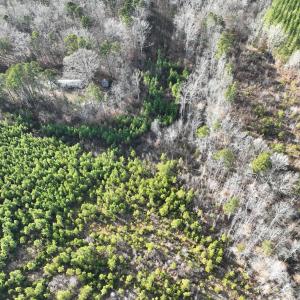 Photo #16 of  Off Green Level Rd, Scottsburg, VA 185.4 acres