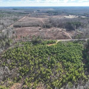 Photo #7 of  Off Green Level Rd, Scottsburg, VA 185.4 acres